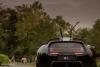 Daytona Shooting Brake Hommage: One-off V12 GT photo 22