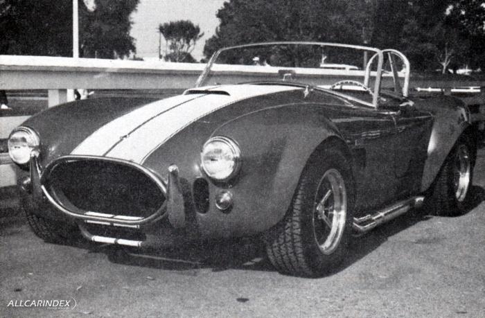 フォ-ドGT/Mk1/Mk2/J car/Mk4/GT 40/P68/69 (CG BOOKS SPORTSCAR