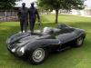 D Type Devs photo 1