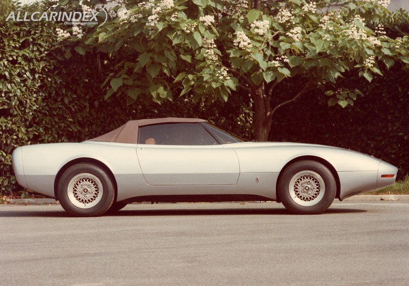 ガーベラ 1978 Jaguar XJ Spider - AllCarIndex