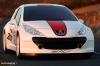 Peugeot 207 RCup photo 6