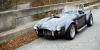 BRM 289SC Cobra photo 1