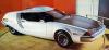 Nissan 216X photo 2