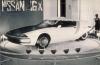 Nissan 216X photo 7