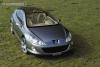 Peugeot 407 Elixir photo 9