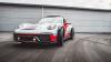 Porsche 911 Vision Safari photo 10