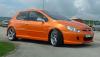 Sbarro 307 Racing photo 2