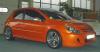 Sbarro 307 Racing photo 4