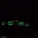 Nissan ARC-X photo 26