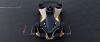 Nissan Ariya Single Seater Concept photo 3