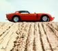 Alfa Romeo Canguro photo 9