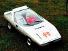 Alfa Romeo Caimano photo 6