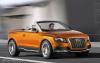 Audi Cross Cabriolet Quattro photo 3