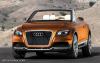 Audi Cross Cabriolet Quattro photo 5