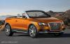 Audi Cross Cabriolet Quattro photo 10