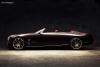 Cadillac Ciel photo 20