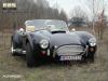 Easer Cobra photo 1