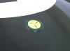 Lister Costin photo 1