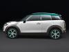 Mini Crossover photo 5