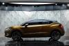Citroen DS High Rider photo 9