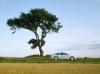 Volvo ECC (Environmental Concept Car) photo 6