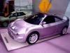 Giannini Fiat Windsurf photo 3