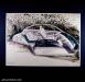 Mercedes-Benz F200 Imagination photo 12