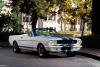 OVC Mustangs photo 1