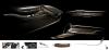 Bertone Jaguar B99 / Jaguar B99 GT photo 10