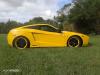 Fiero Fiberglass photo 1