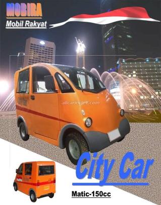 Model cover