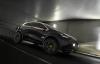 Kia Niro Concept photo 7