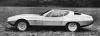 Jaguar Pirana photo 18