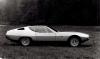 Jaguar Pirana photo 16
