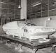 Jaguar Pirana photo 5