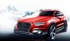 Audi Q3 Vail Concept photo 6