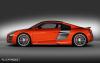Audi R8 TDI Le Mans photo 2