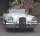 Packard Request photo 2