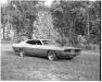 Ford Super Cobra photo 6