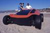 MISC Skink Buggy photo 5