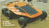 MISC Skink Buggy photo 6