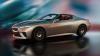 BMW Skytop Concept photo 12