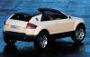 Audi Steppenwolf photo 6