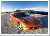Avelate Split Window Corvette photo 1