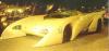 Colani Stingray photo 4