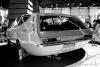 Isuzu Sport Wagon photo 8