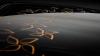 Renault Sandero Stepway Concept photo 6
