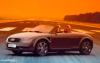 Audi TTS Roadster photo 9