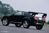 Nissan Trailrunner photo 15