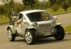 Jeep Treo photo 16